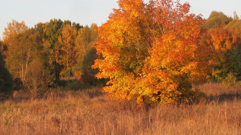 Photograph by сергей павлов