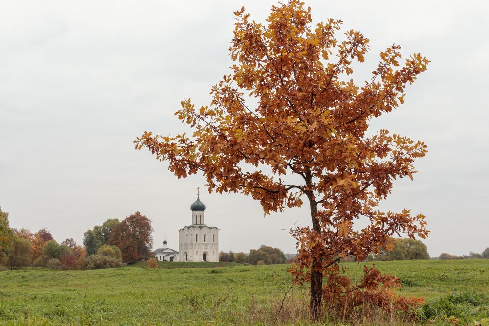 Photograph by Леонтьев Михаил