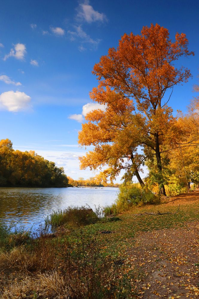 Осенний пейзаж с рекой