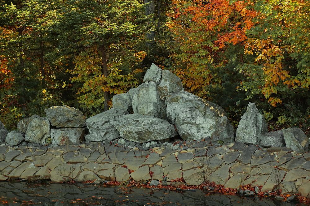 Фотография автора АЛЕКСАНДР ЦЫГЕЛЬНЮК