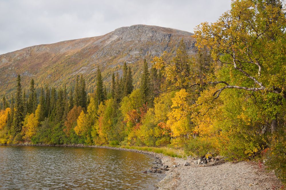 Photograph by Анна Шейко