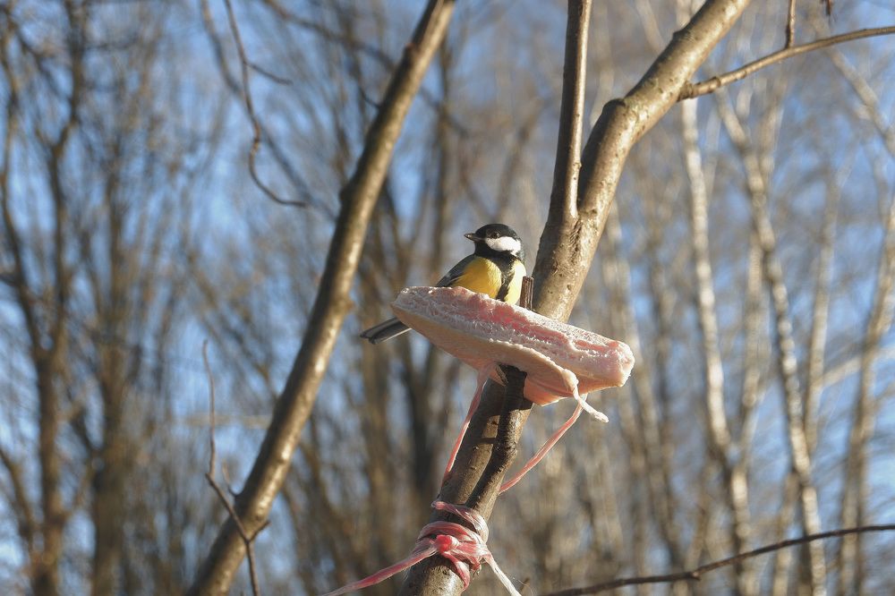 Photograph by Юлия Морозова