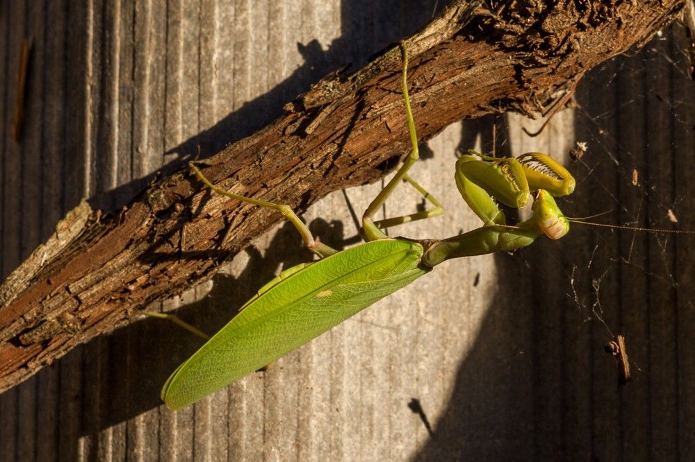 Photograph by Александр Редько