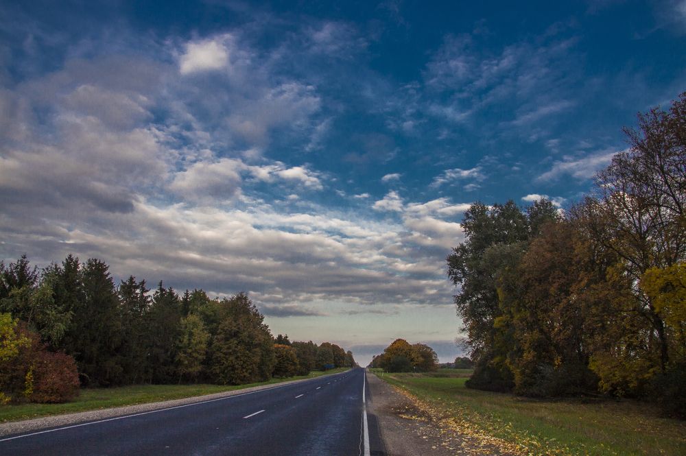 Дальняя дорога