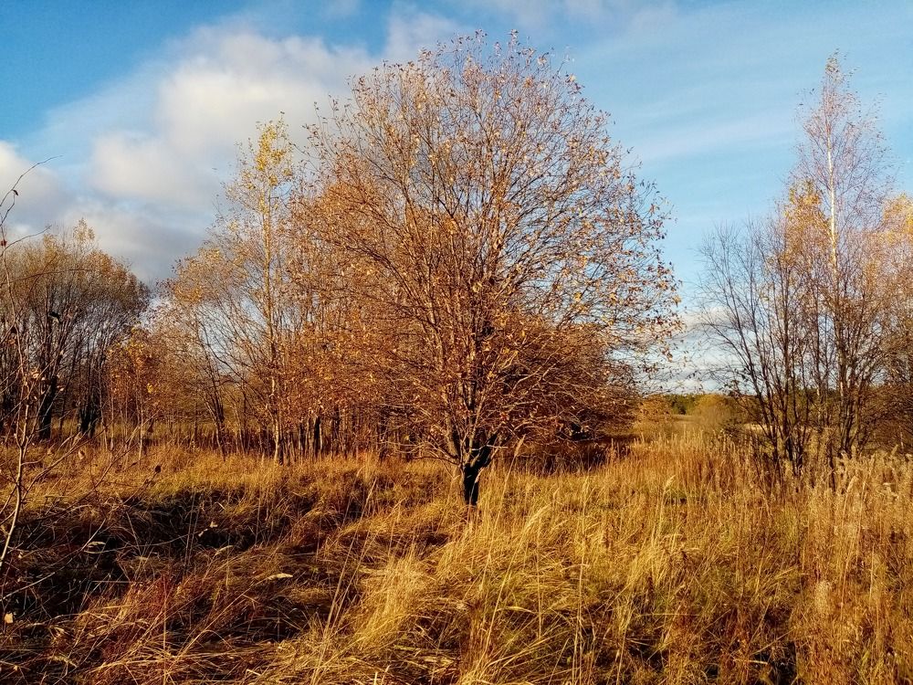 Photograph by Ирина Анкушина