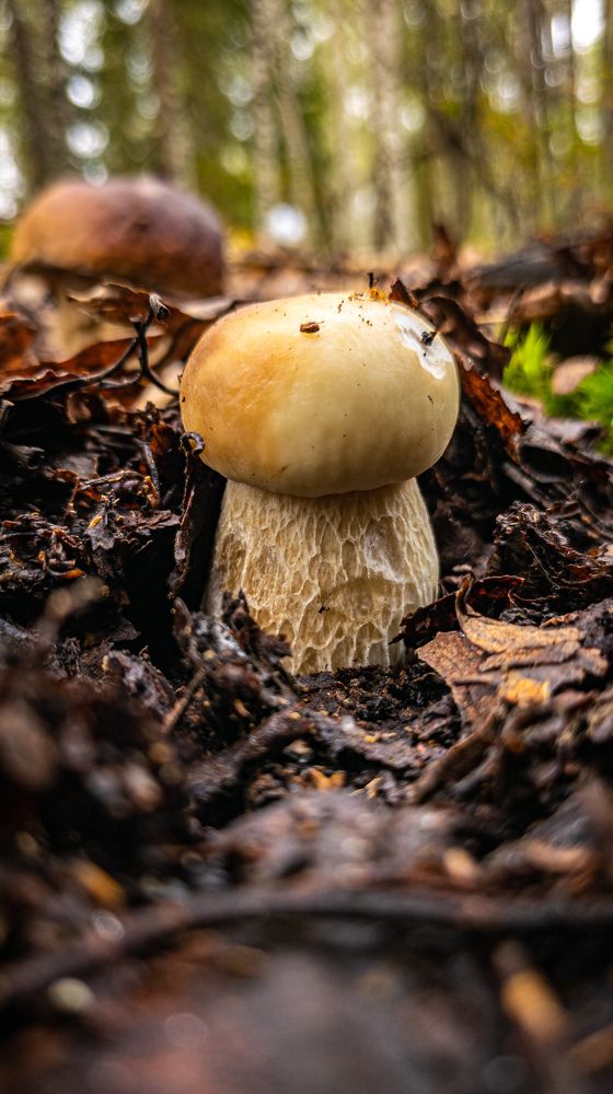 Photograph by Georgy Ivanov