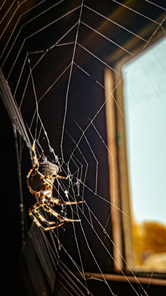 Photograph by Georgy Ivanov