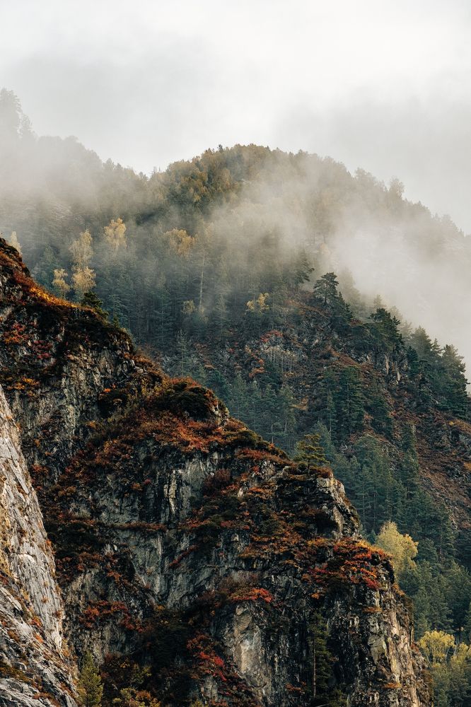 Photograph by Дмитрий Сергеев