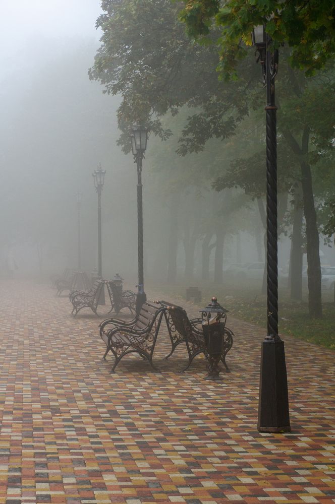 Туманная осень