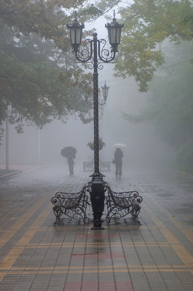 Photograph by 