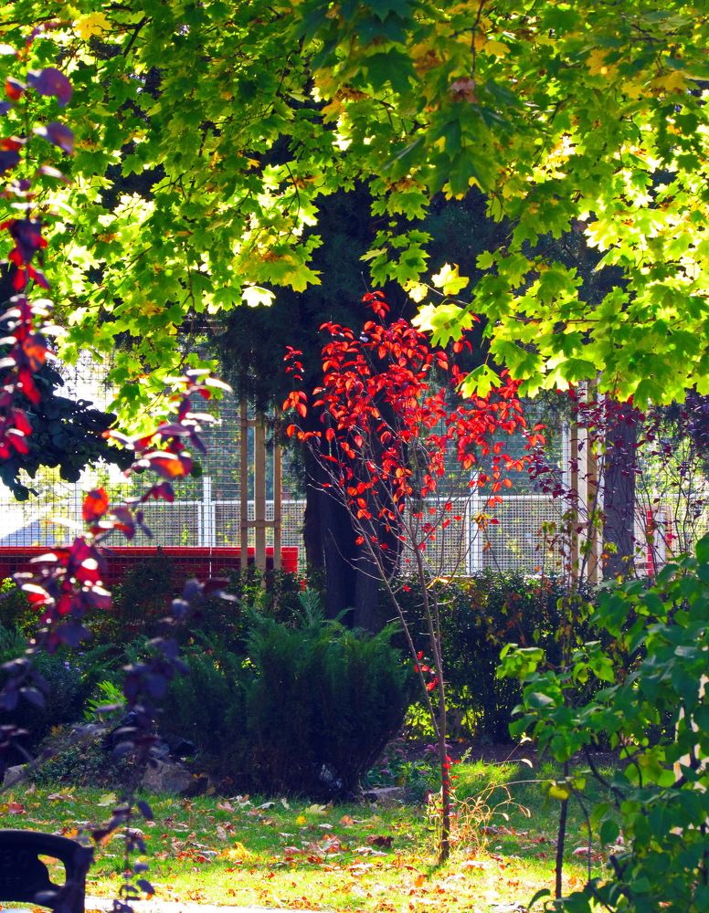 Photograph by Павло Дінець