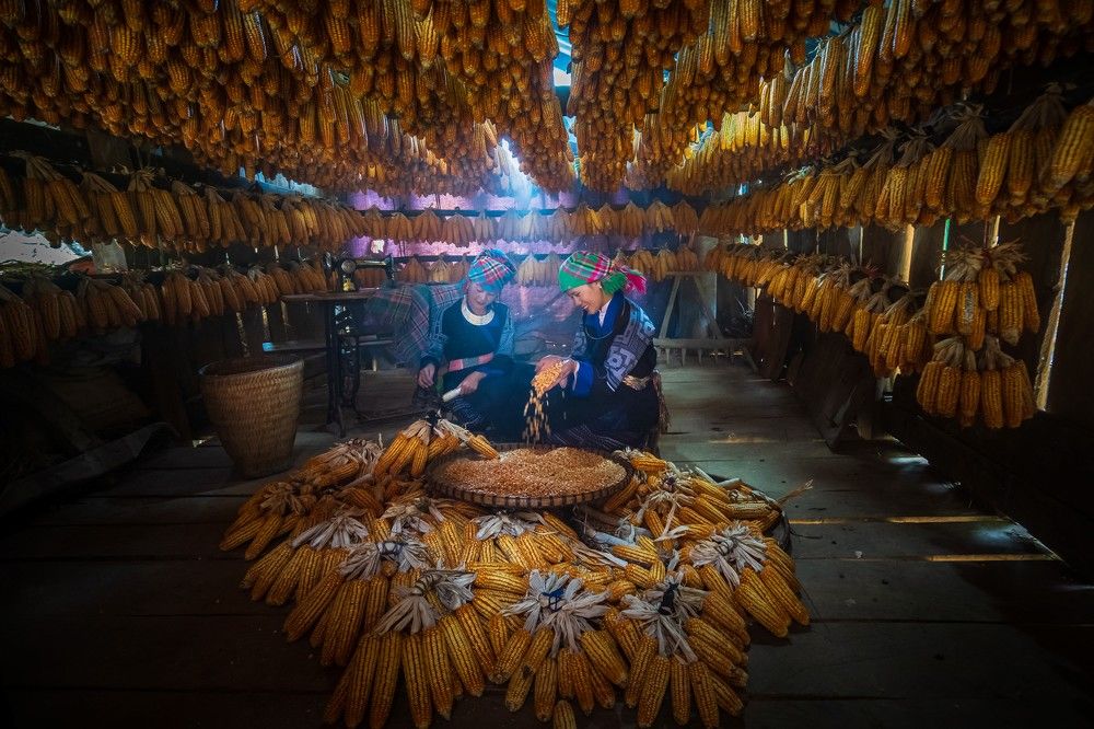 Photograph by Phan Thu