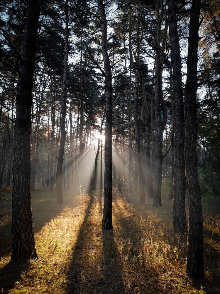 Photograph by Сергей Колос