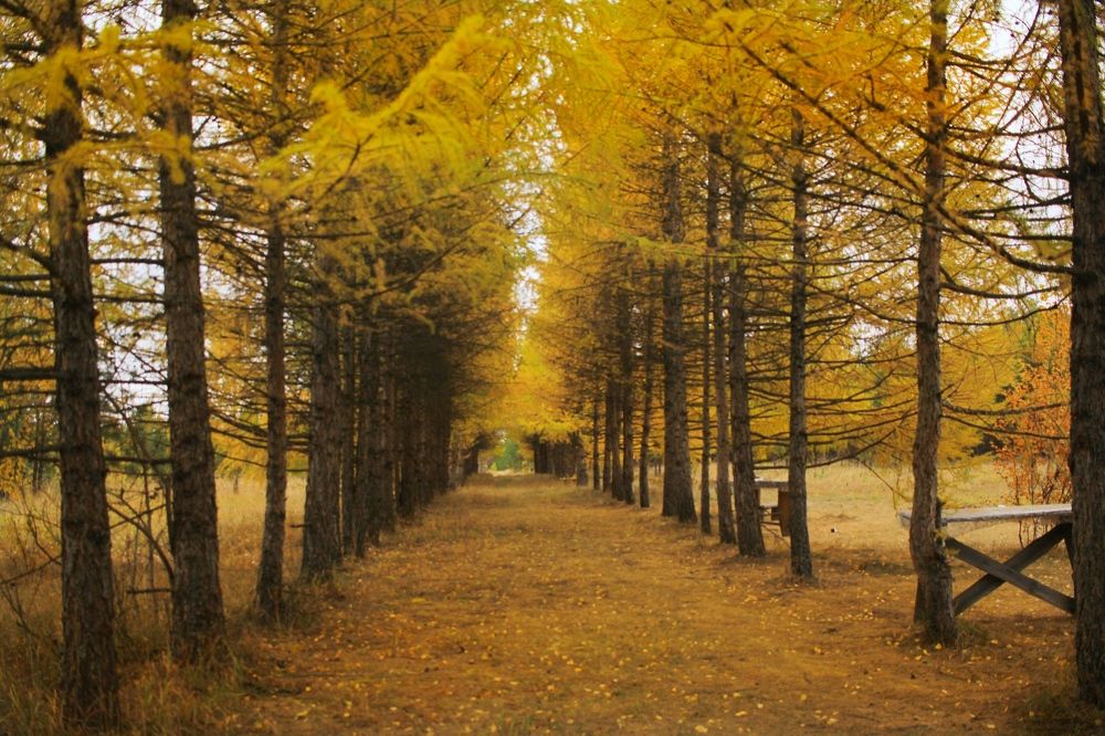 Photograph by Елена Змейкова