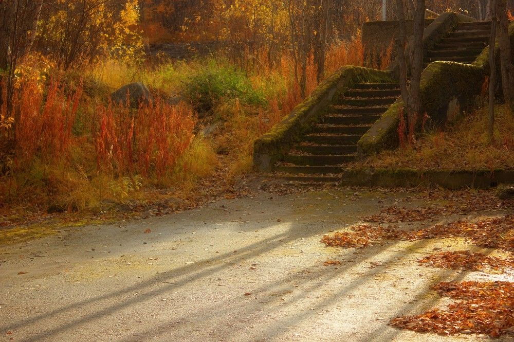 Photograph by Татьяна Мельникова