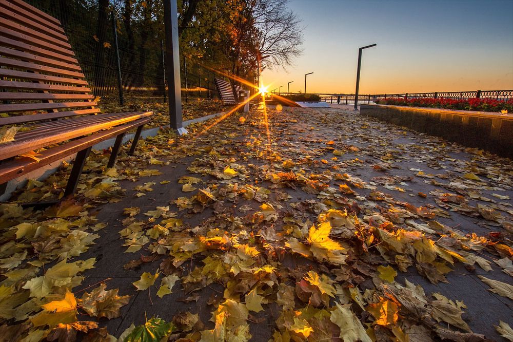 Фотография автора Павел Жигалов