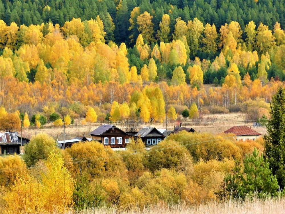 Photograph by Чкареули Светлана