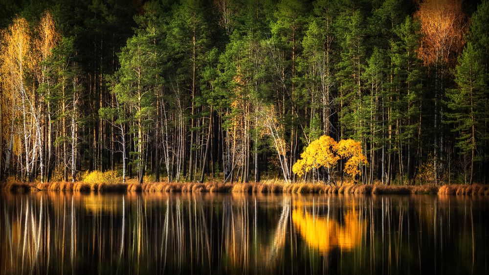 Фотография автора Александр Рудный