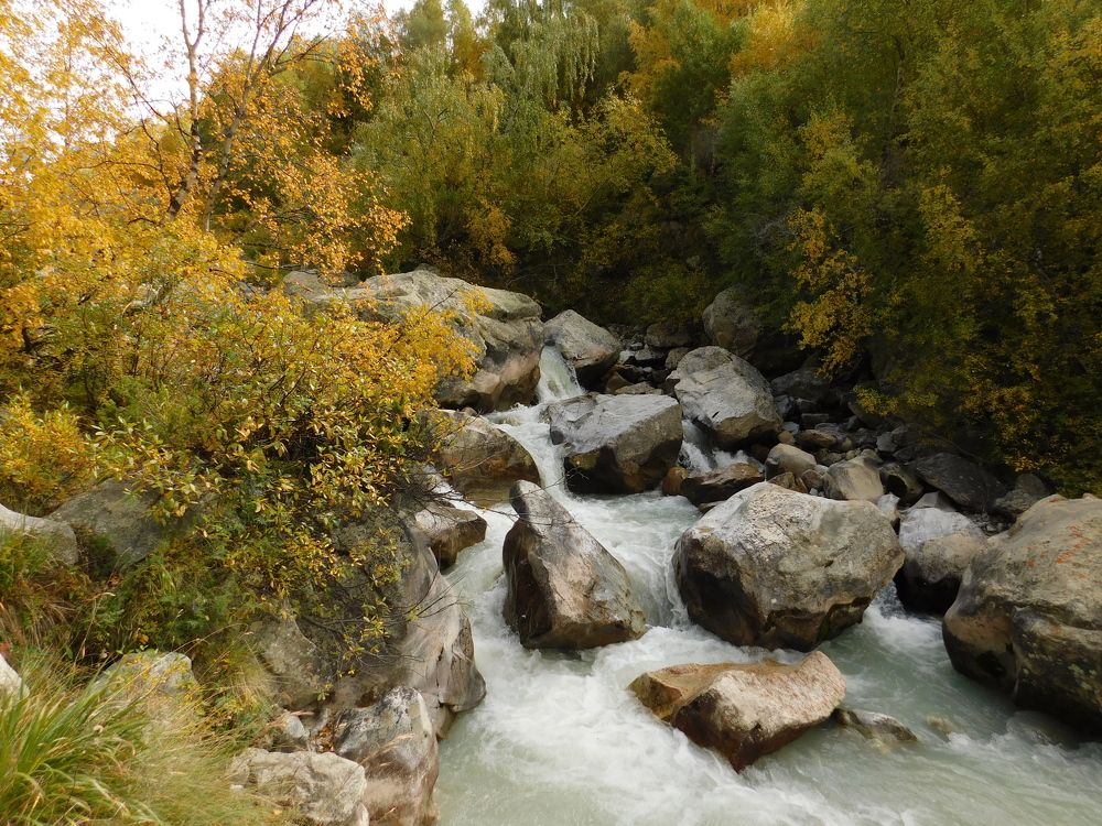 Photograph by Чкареули Светлана