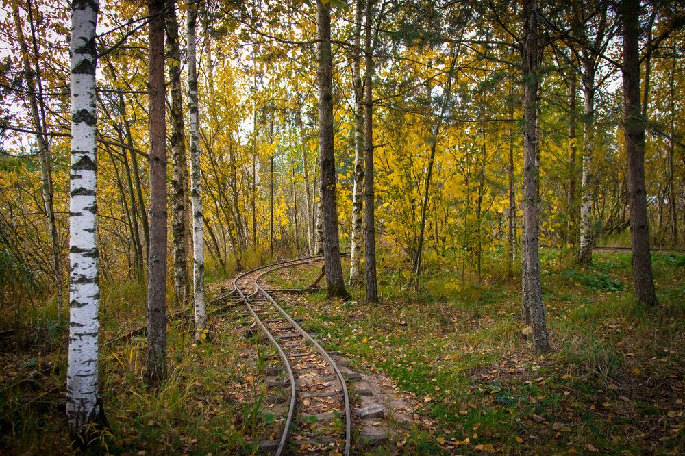 Photograph by Мария Барановская