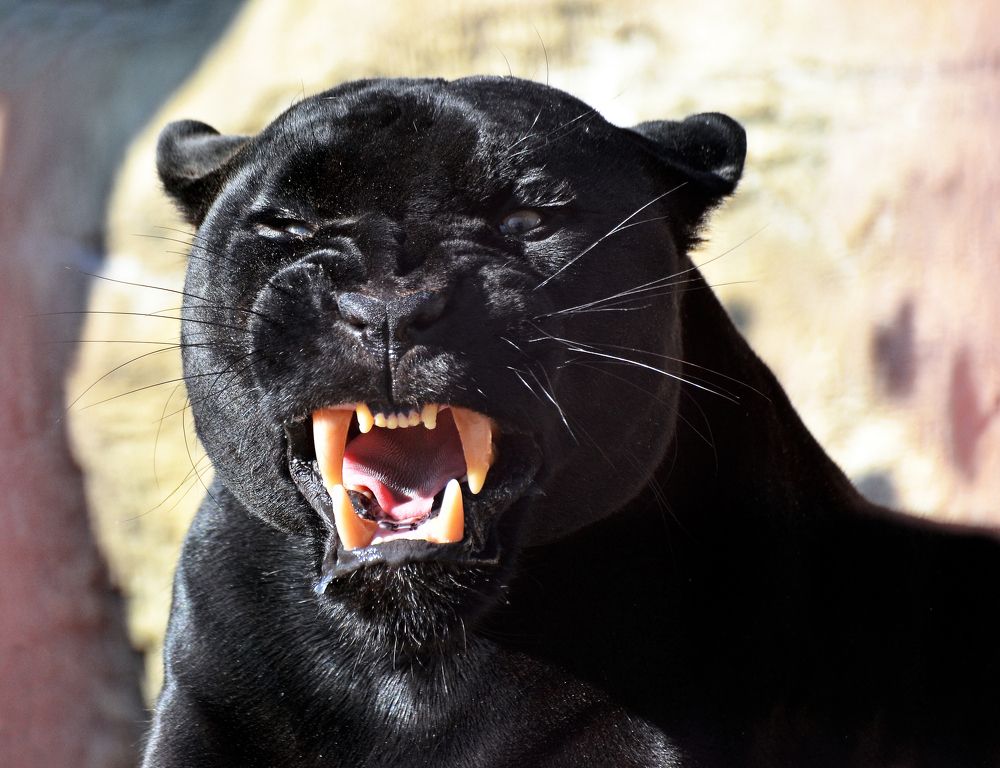 Предупреждение.