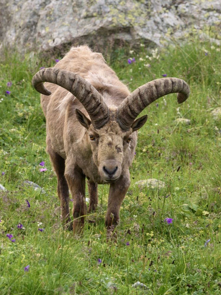 Photograph by Anna Levina