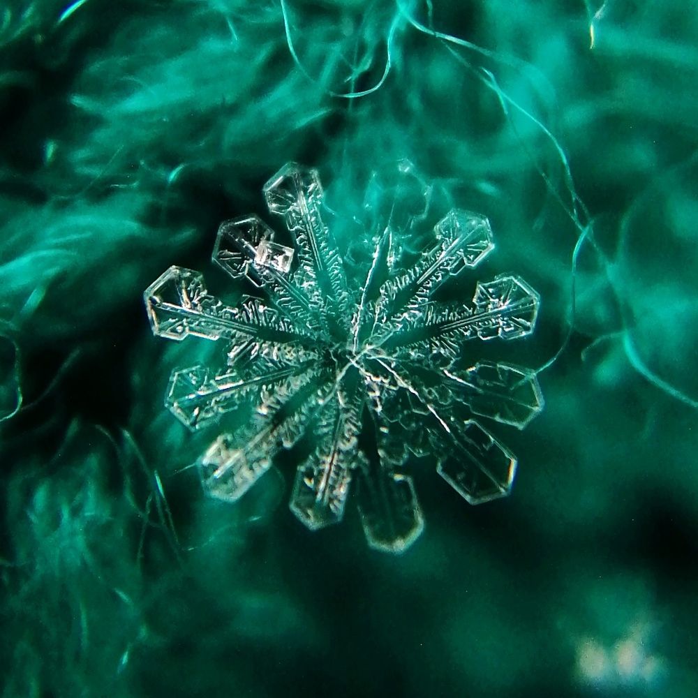 Photograph by Ольга Мокрова