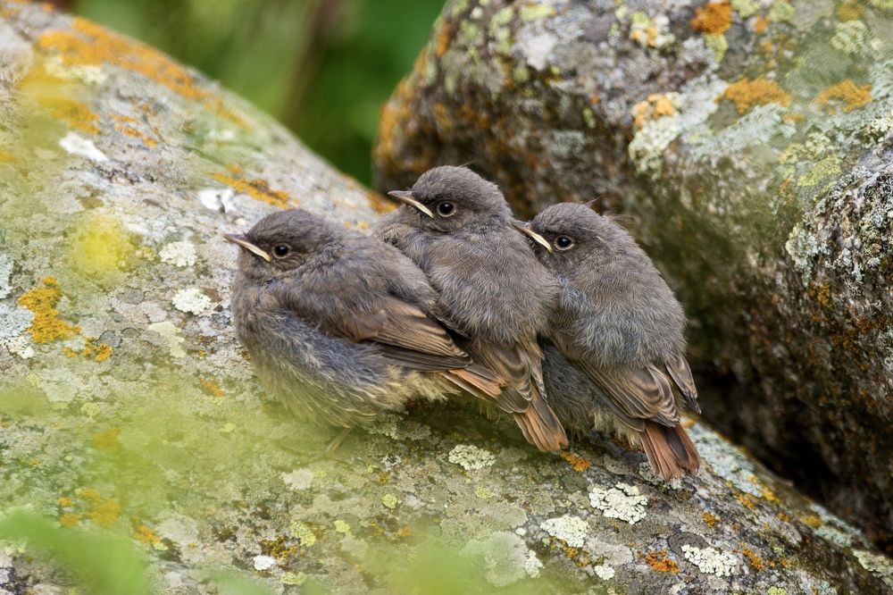 Photograph by Anna Levina