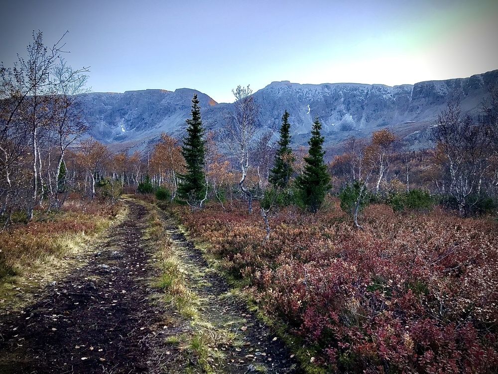 Photograph by Ольга Федотенко