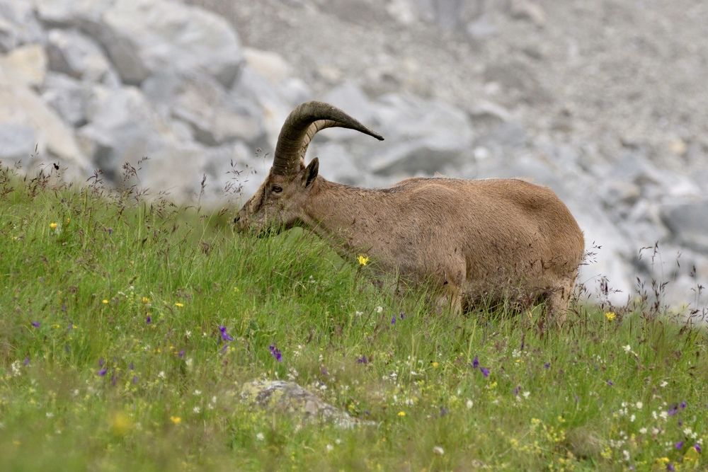 Photograph by Anna Levina