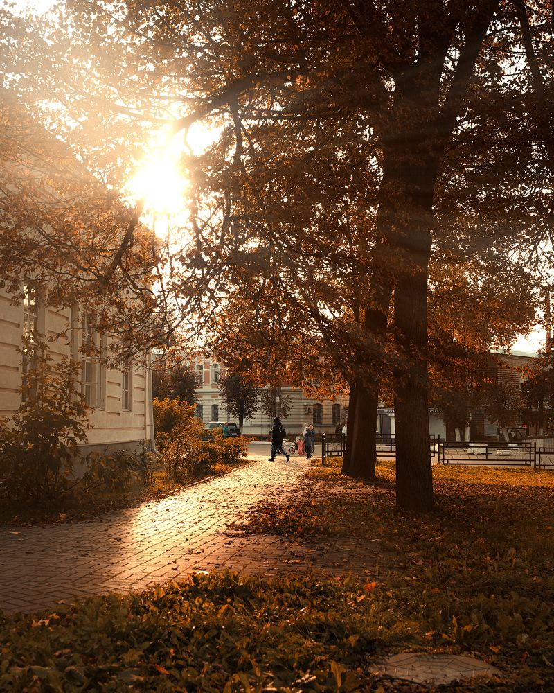 Photograph by Александр Миндру