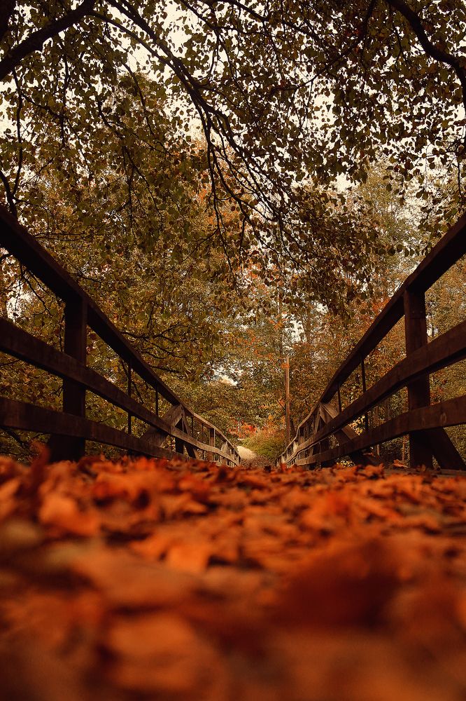 Photograph by Anna Sindikayeva