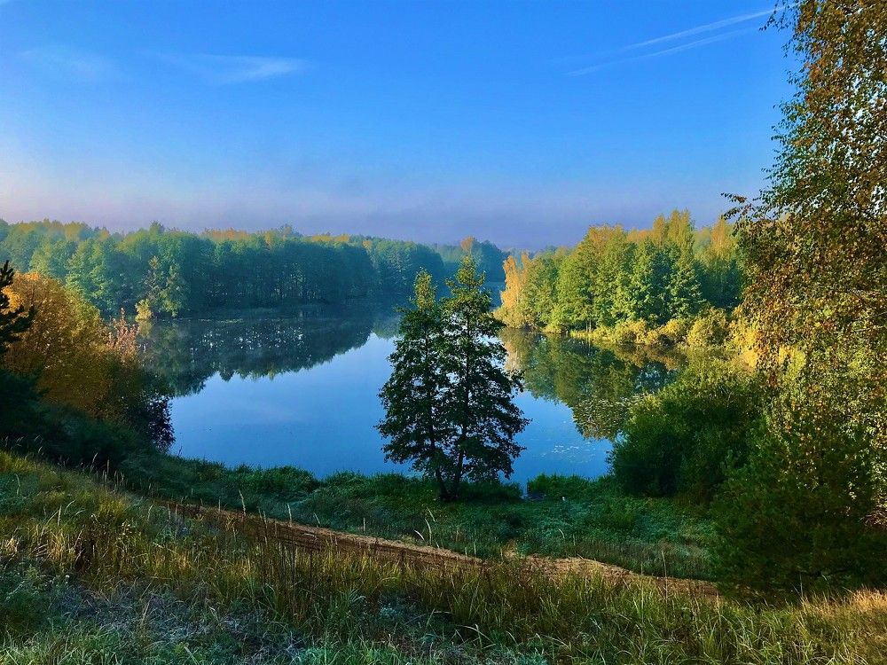 Морозное утро октября