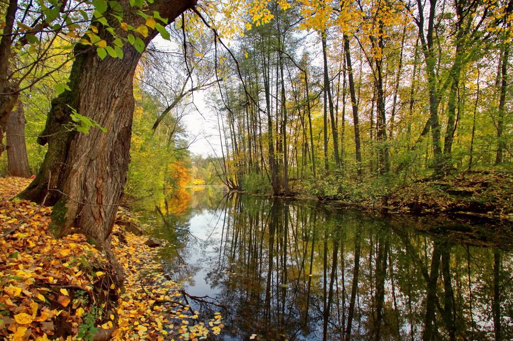 Фотография автора Юрий Кольцов