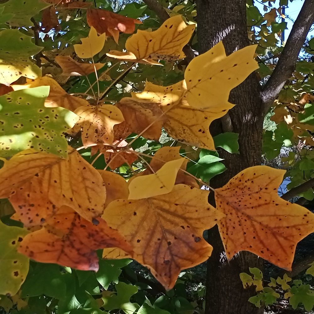 Photograph by Адамян Анна