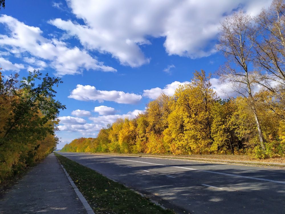 Photograph by Шорин Александр