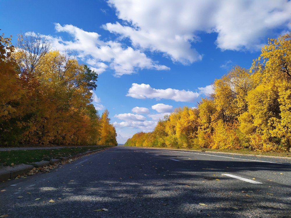 Photograph by Шорин Александр