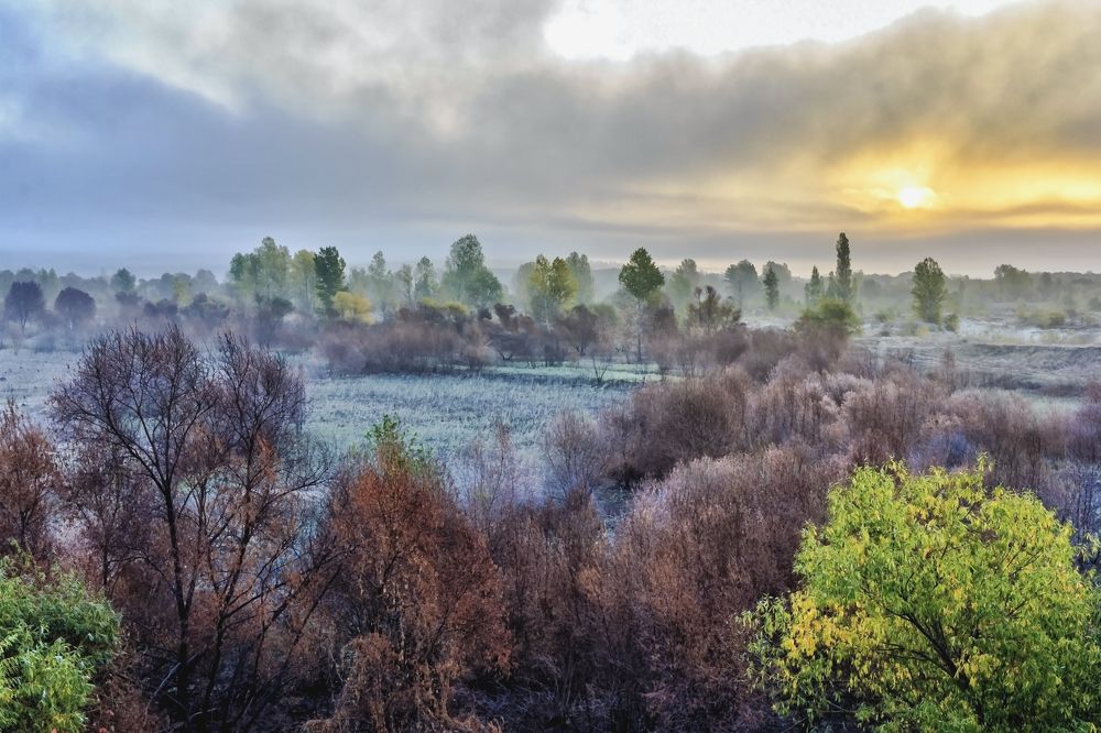 На рассвете в октябре..