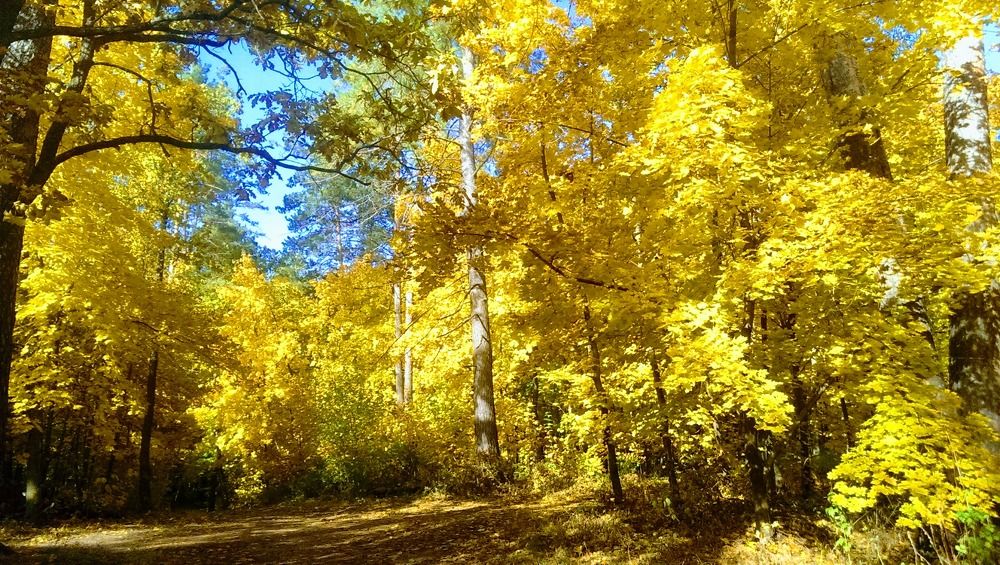 Photograph by Шорин Александр