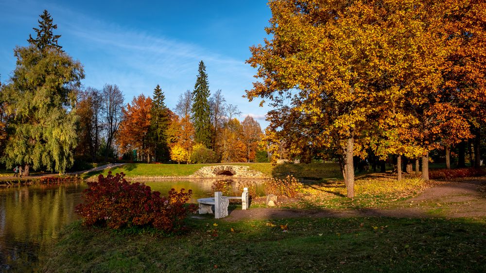 Фотография автора Андрей Васильев