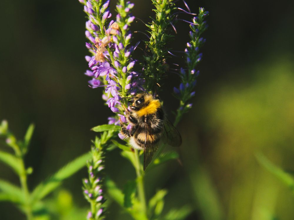 Photograph by Matvey Korotkin