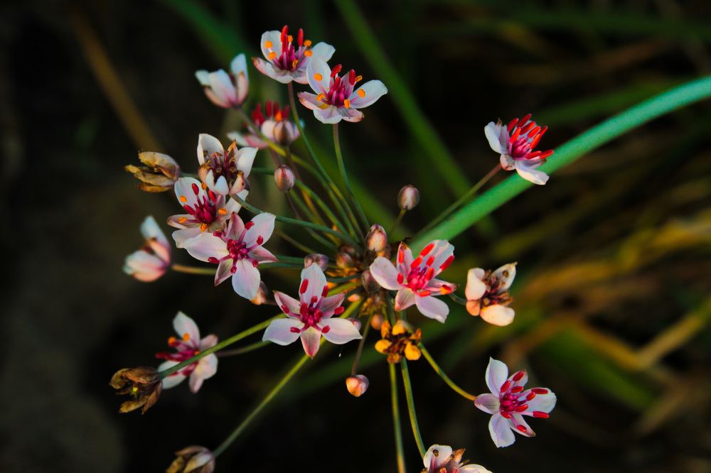 Photograph by Матвей Короткин