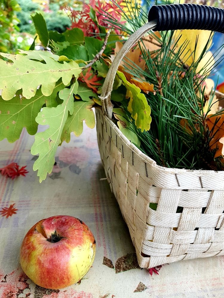 Photograph by Елена Поткина