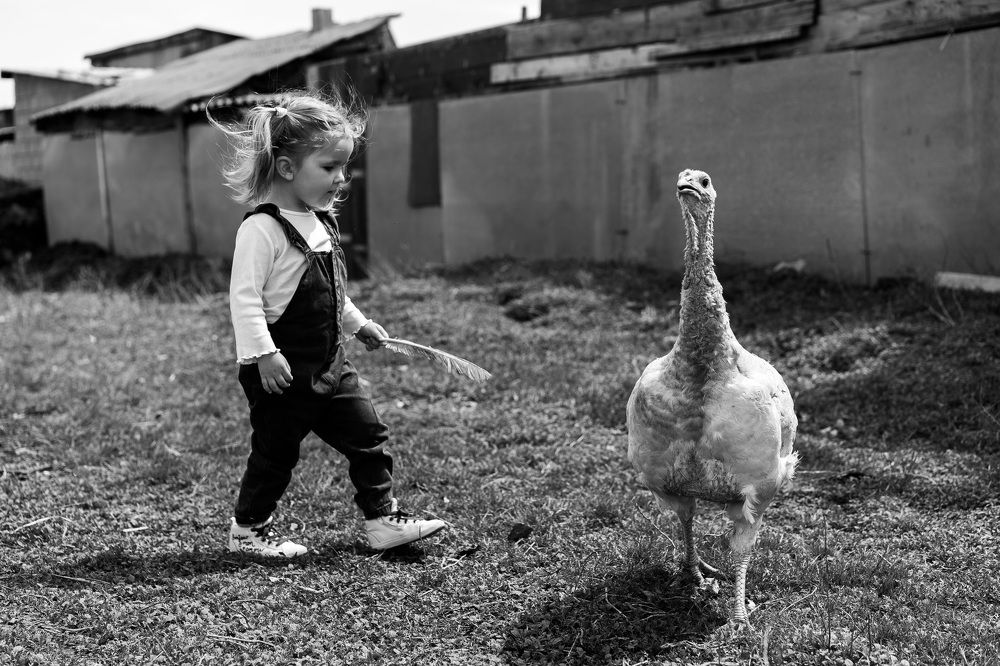 Photograph by Елена Репина