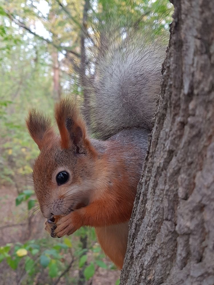 Photograph by Елена Поткина