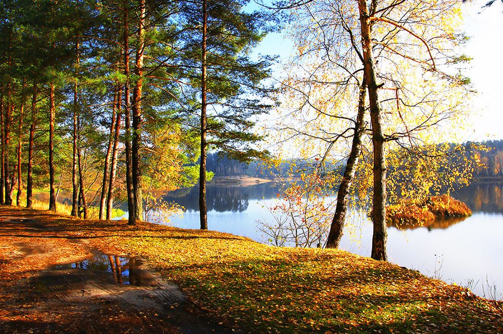 ОСЕННИЙ БАЛ