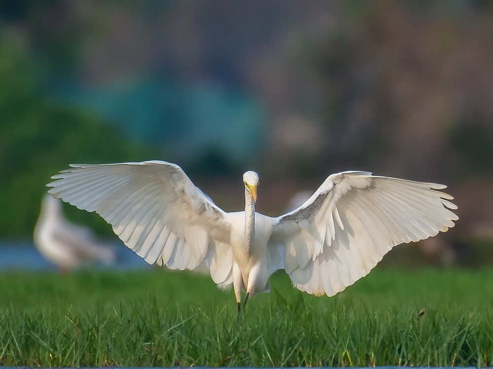 Фотография автора Anandhu M