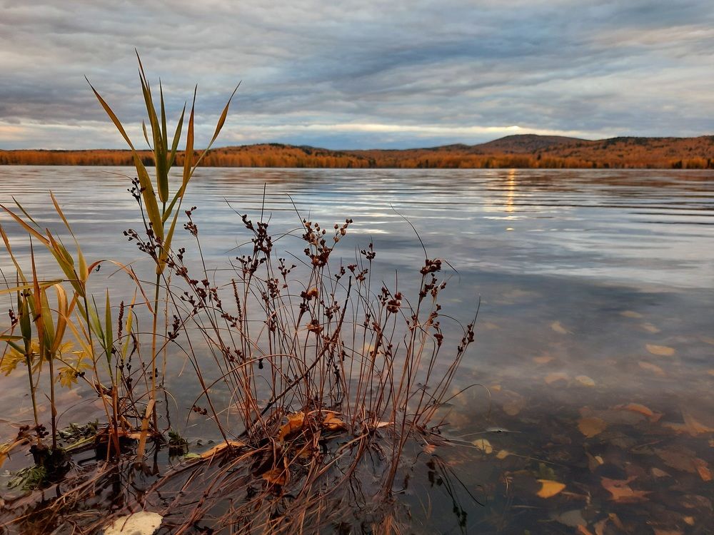 Photograph by Юлия