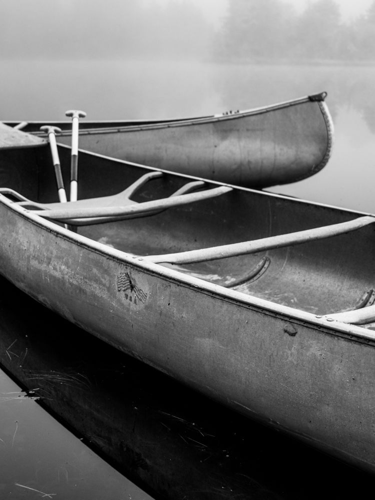 Photograph by Alisa Bryz-Gornia