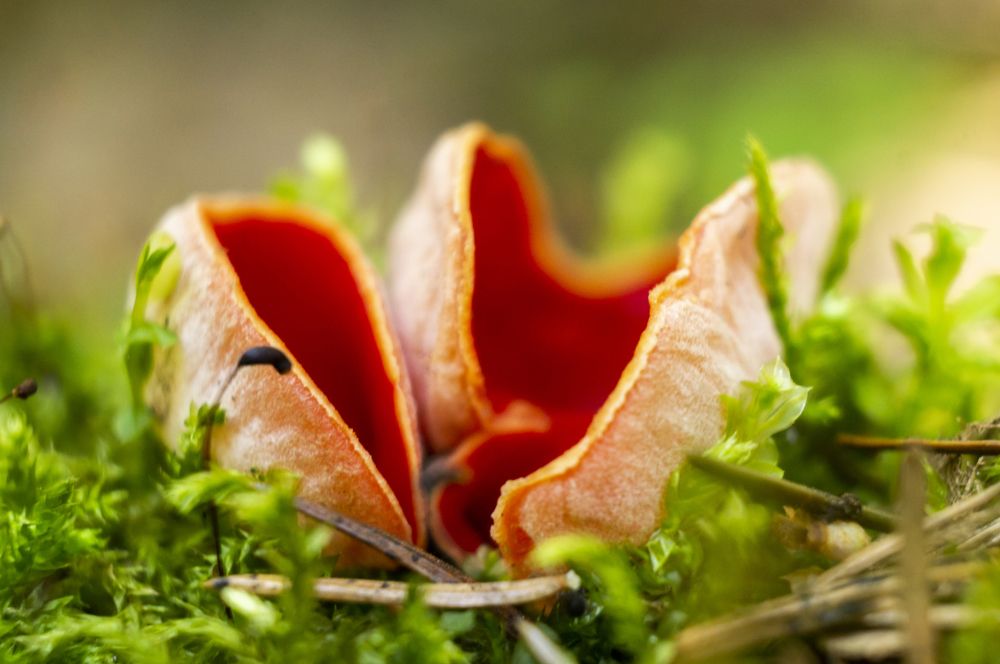 Photograph by Павел Минкевич